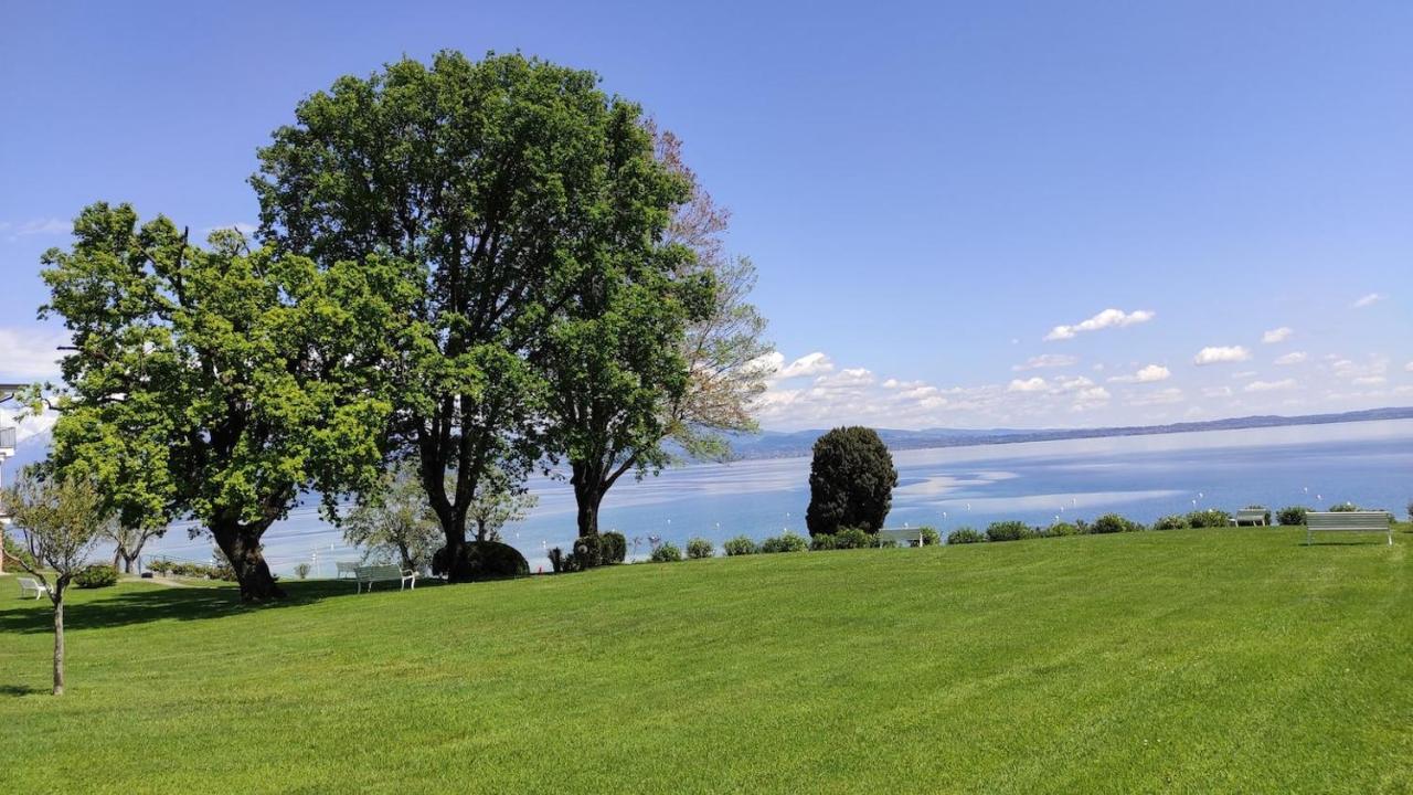 Front Lake Amazing View Manerba del Garda Exterior photo